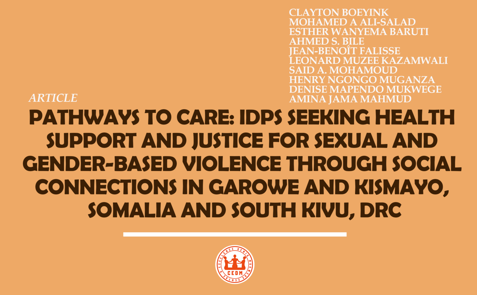 Pathways to care: IDPs seeking health support and justice for sexual ...